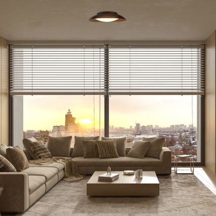 Plafonieră LED Rabalux LED/20W/230V 3000K d. 30 cm