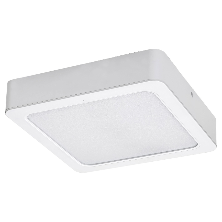 Plafonieră LED Rabalux LED/15W/230V 4000K 16x16 cm alb
