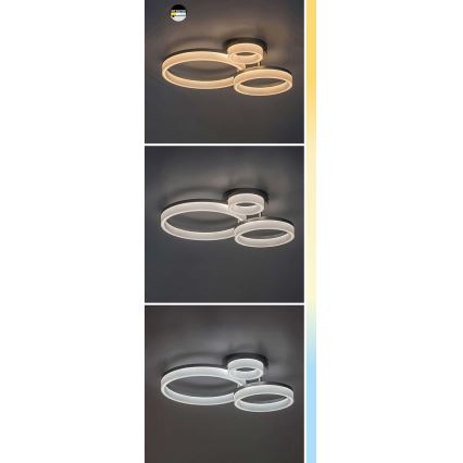 Plafonieră LED Rabalux LED/24W/230V 3000/4000/6500K negru