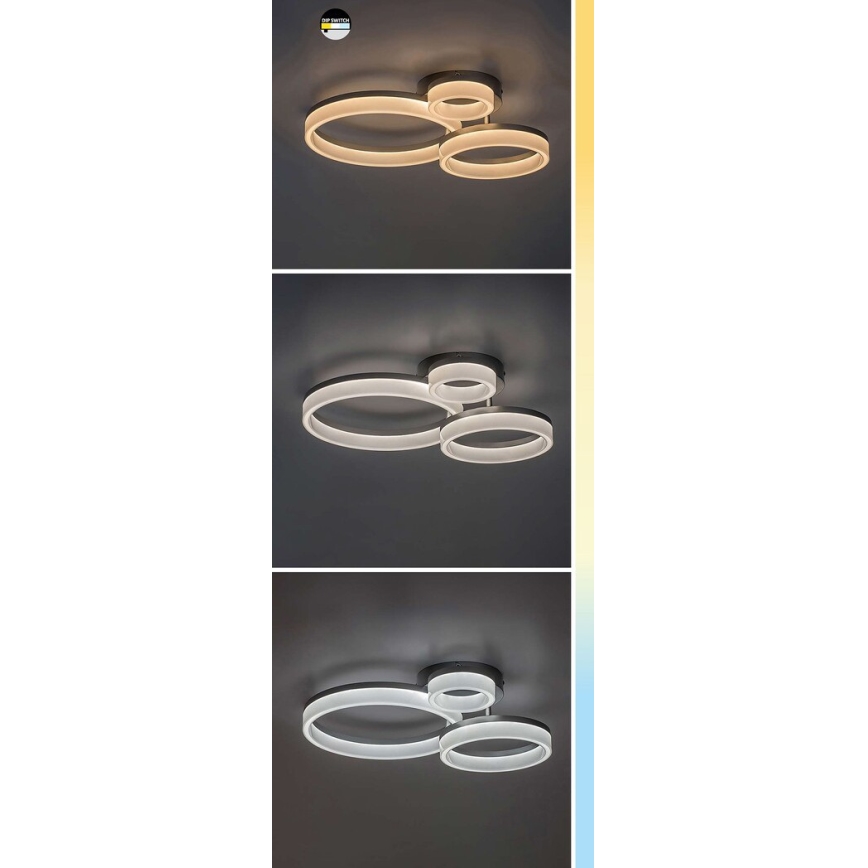 Plafonieră LED Rabalux LED/24W/230V 3000/4000/6500K negru