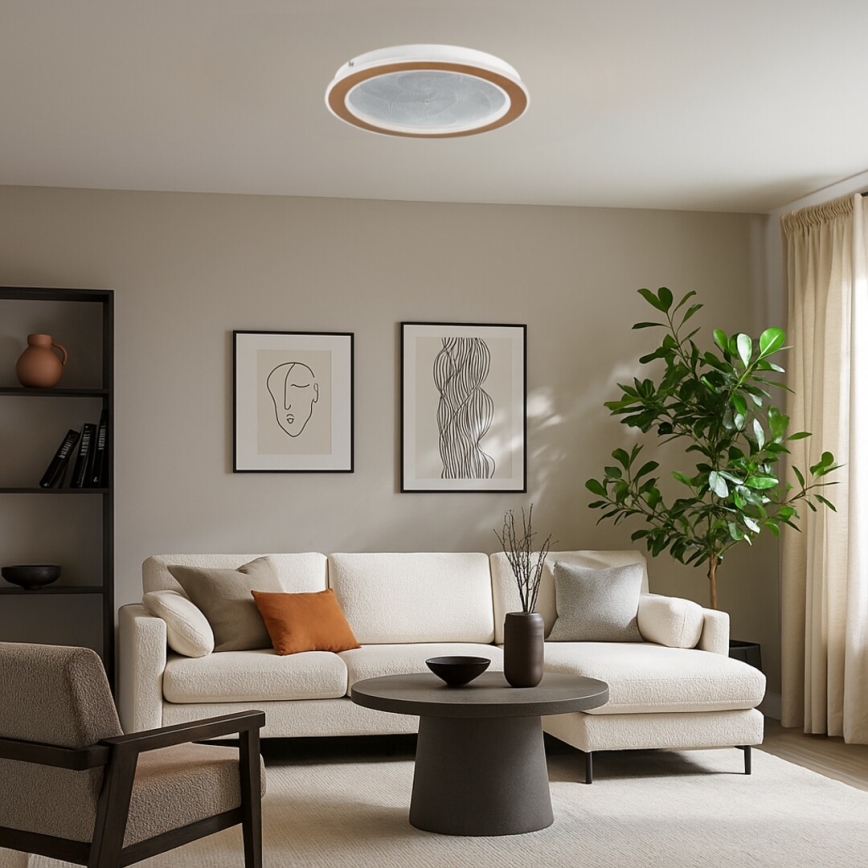 Rabalux - Plafonieră LED dimabilă, 24W, 230V, 3000-6500K, Ø 40 cm + telecomandă