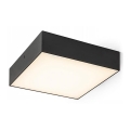 Plafonieră LED RED-Design Rendl-R13488 LARISA LED/20W/230V negru