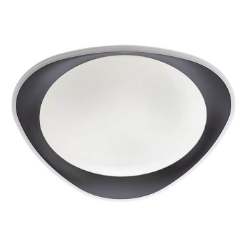 Plafonieră LED Redo 05-922 VERENA LED/24W/230V antracit