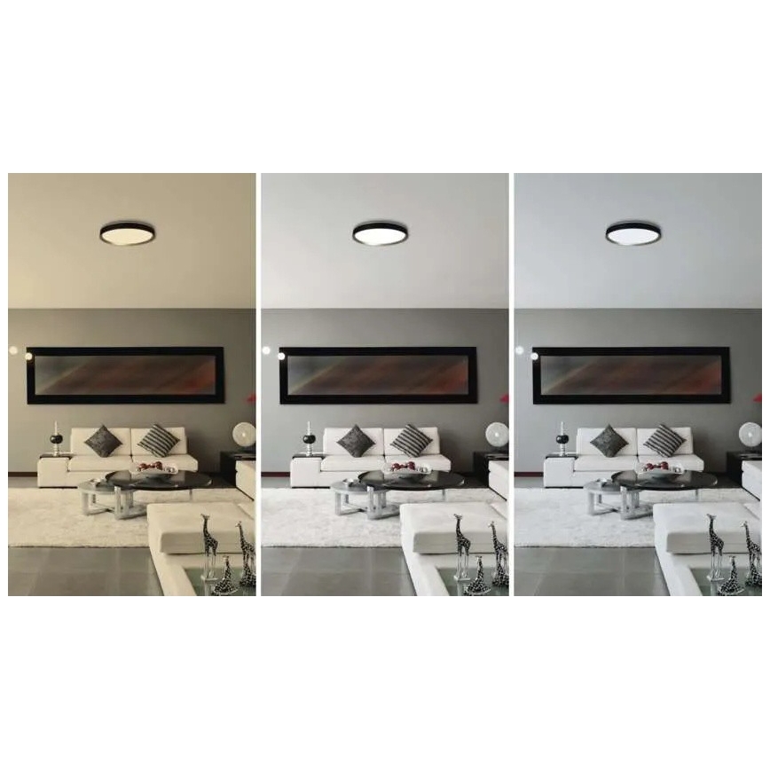 Lampă de tavan LED reglabilă ILVI LED/30W/230V 2700-6500K diam. 40 cm negru/alamă + telecomandă