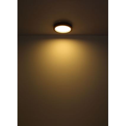 Plafonieră LED RGBW dimabilă LED/24W/230V 2700-6000K Globo + telecomandă