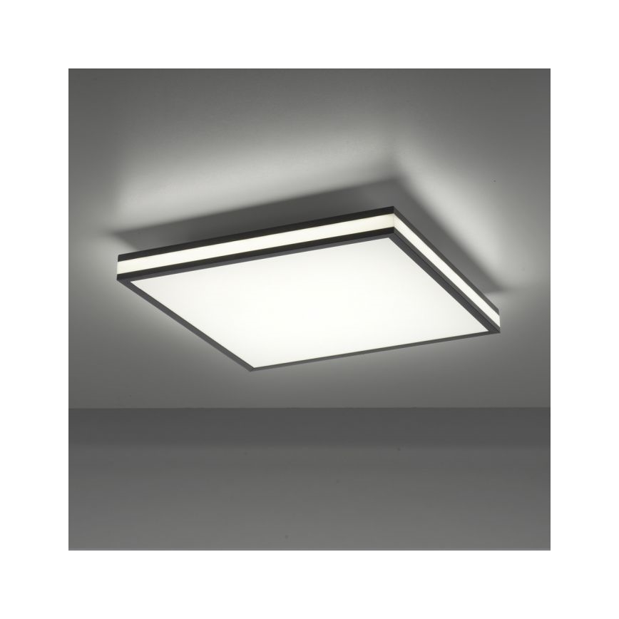 Plafonieră LED RGBW dimabilă JUST LIGHT. 14110-18 MARIO BLACK LED/19,5W/230V 2700-5000K + telecomandă