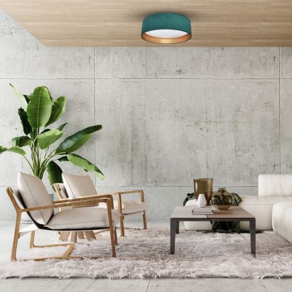 Plafonieră LED RONDO LED/18W/230V verde