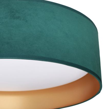 Plafonieră LED RONDO LED/18W/230V verde