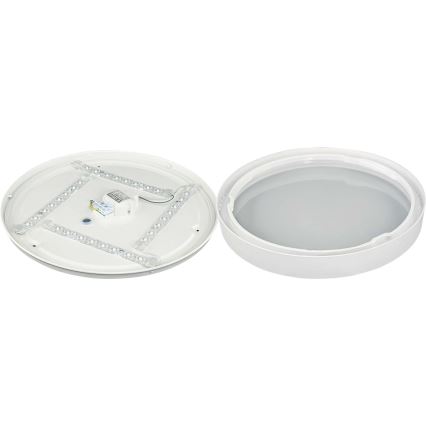 Plafonieră LED SAMER LED/24W/230V 4000K