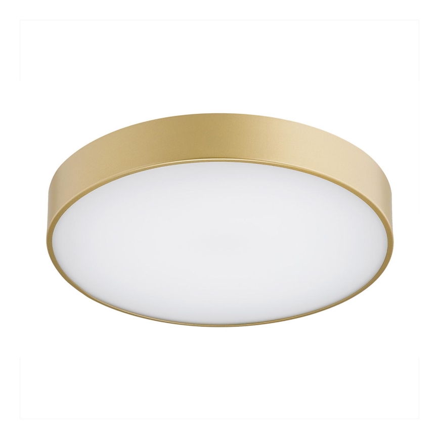 Plafonieră LED TIAMO LED/22W/230V 4000K auriu Argon 8349