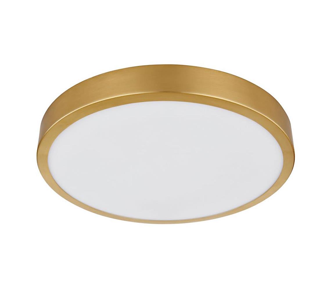 Plafonieră LED TIBEY LED/15W/230V d. 25 cm Globo 12381-15