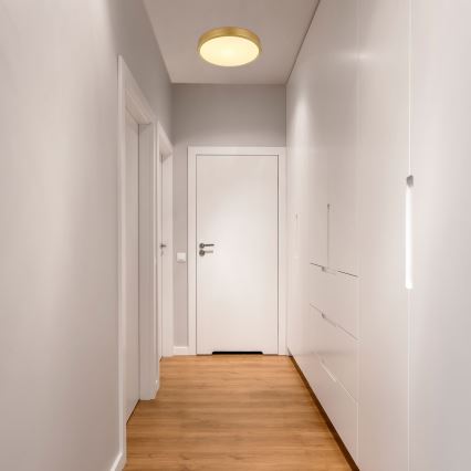 Plafonieră LED/15W/230V d. 25 cm Globo