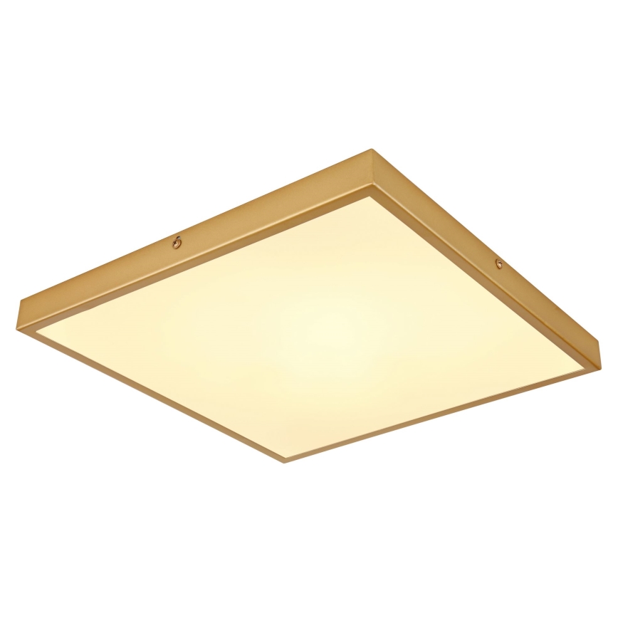 Plafonieră LED/22W/230V 35x35 cm Globo