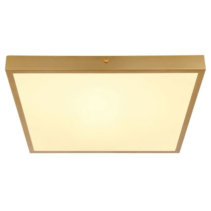 Plafonieră LED/22W/230V 35x35 cm Globo