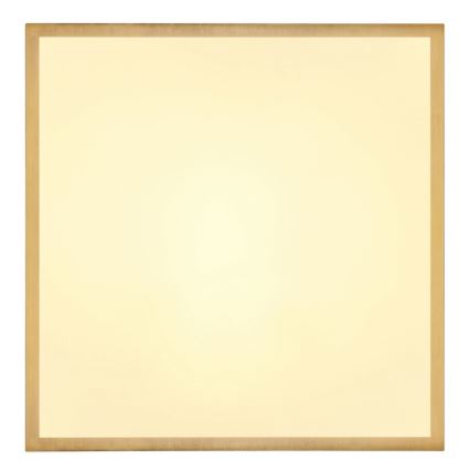 Plafonieră LED/22W/230V 35x35 cm Globo
