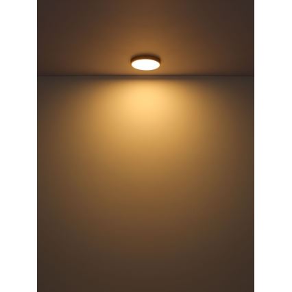 Plafonieră LED/30W/230V d. 45 cm Globo