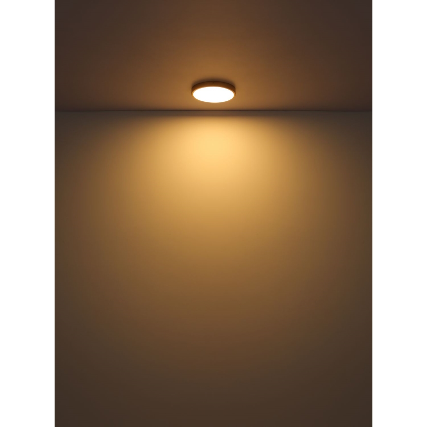 Plafonieră LED/30W/230V d. 45 cm Globo