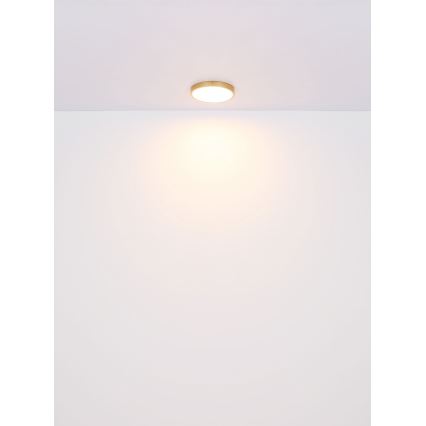 Plafonieră LED/30W/230V d. 45 cm Globo