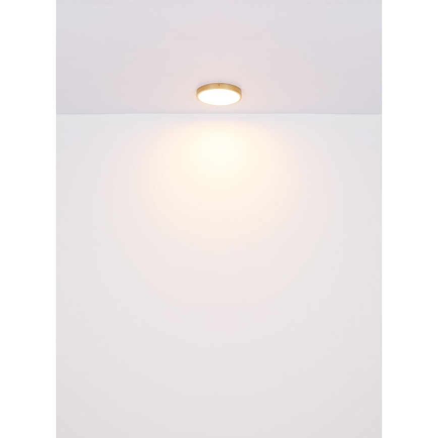 Plafonieră LED/30W/230V d. 45 cm Globo