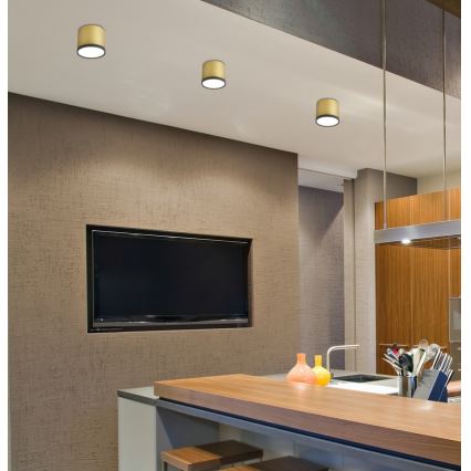 Plafonieră LED TUBA LED/9W/230V