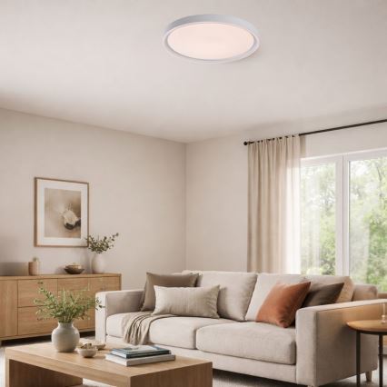 Rabalux - Plafonieră LED dimabilă, 31W/230V, IP40, 3000-6500K, Ø 41,5 cm + telecomandă