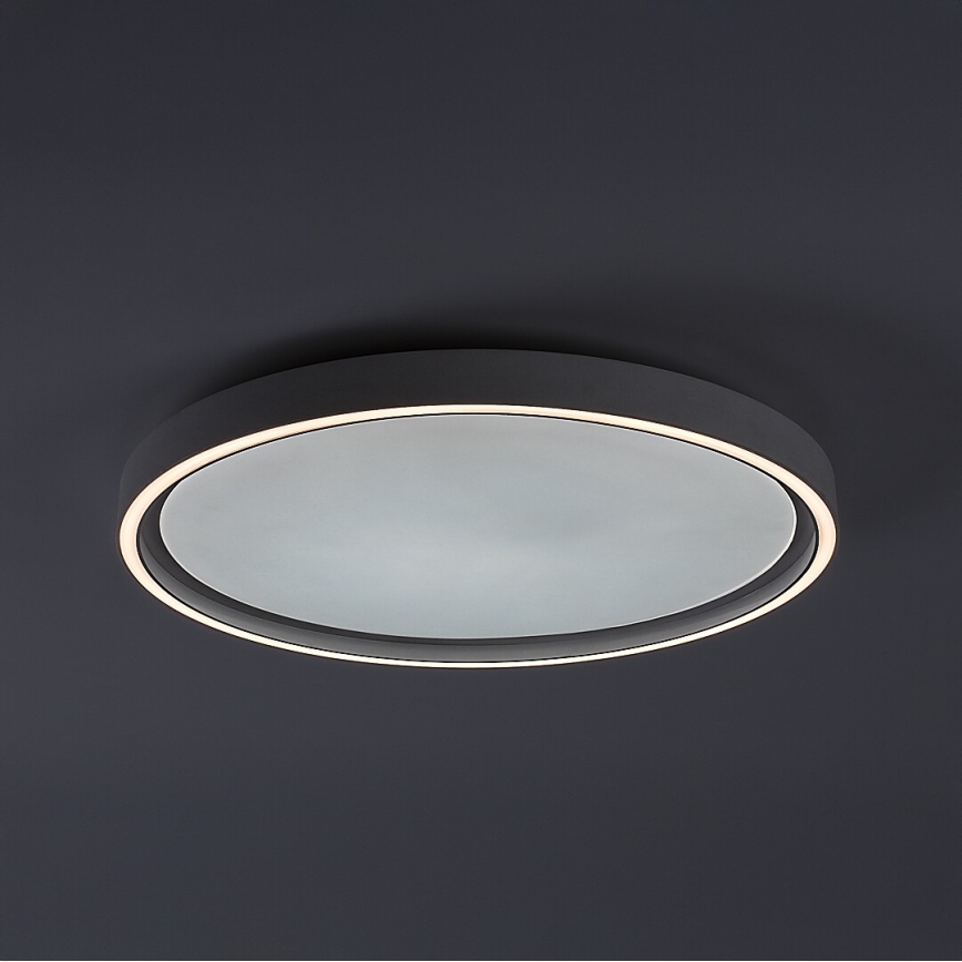 Rabalux - Plafonieră LED dimabilă, 31W/230V, IP40, 3000-6500K, Ø 41,5 cm + telecomandă