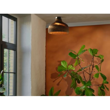 Plafonieră Ledvance DECOR CARDBOARD 1xE27/15W/230V d. 36 cm