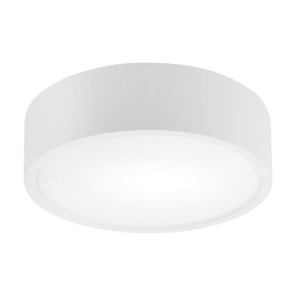 Plafonieră NATURAL 1xE27/15W/230V Ø 27,5 cm pin/alb