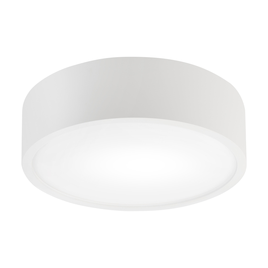 Plafonieră NATURAL 1xE27/15W/230V Ø 27,5 cm pin/alb