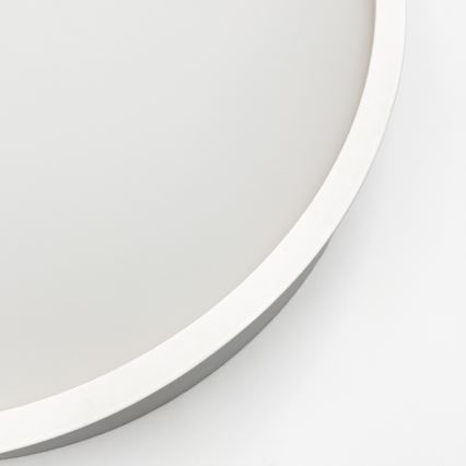 Plafonieră NATURAL 1xE27/15W/230V Ø 27,5 cm pin/alb