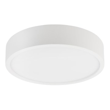 Plafonieră NATURAL, 3xE27/15W/230V, Ø 37,5 cm, pin/alb