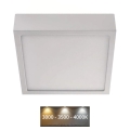 Plafonieră NEXXO LED/12,5W/230V 3000/3500/4000K 17x17 cm alb
