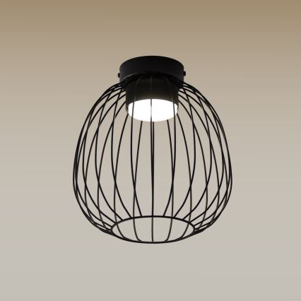 Plafonieră OVELLA, 1 x GX53, 10 W, 230 V, Ø 25 cm, neagră