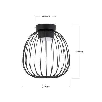 Plafonieră OVELLA, 1 x GX53, 10 W, 230 V, Ø 25 cm, neagră