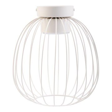 Plafonieră OVELLA 1x GX53/10W/230V, Ø 25 cm, crem