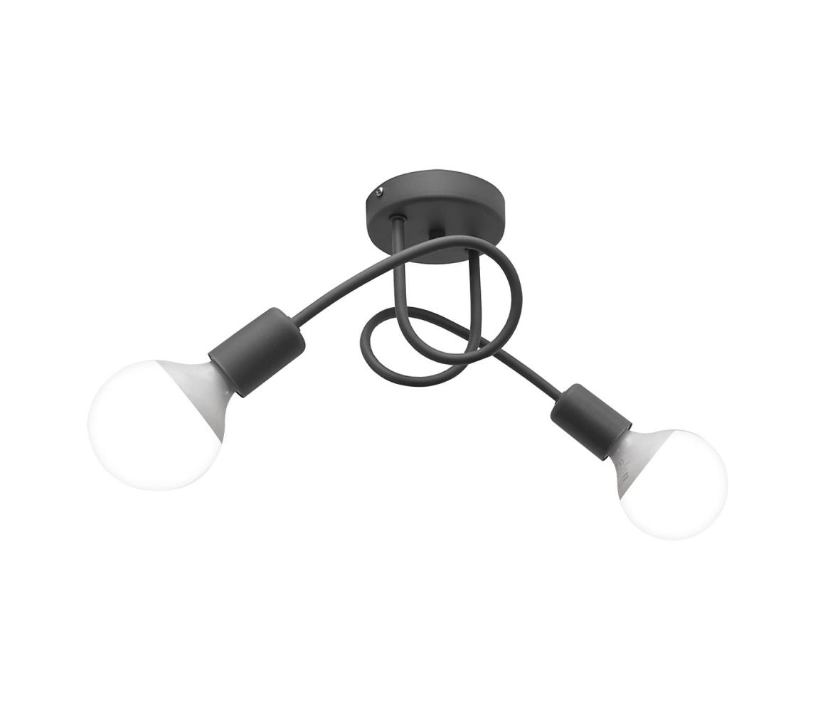 Plafoniera OXFORD 2xE27/60W/230V argint