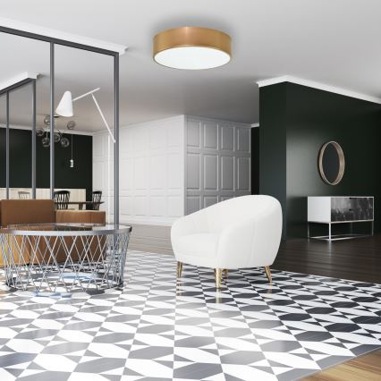 Plafonieră pentru baie Brilagi CLARE 2xE27/24W/230V d. 40 cm IP54 auriu