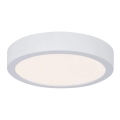 Plafonieră pentru baie LED/13W IP44 AVIAR 230V Paulmann 78923