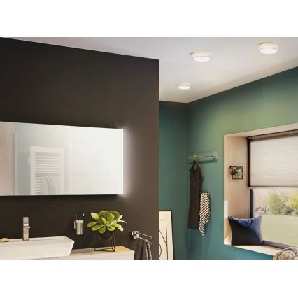 Plafonieră pentru baie LED/13W IP44 AVIAR 230V Paulmann 78923