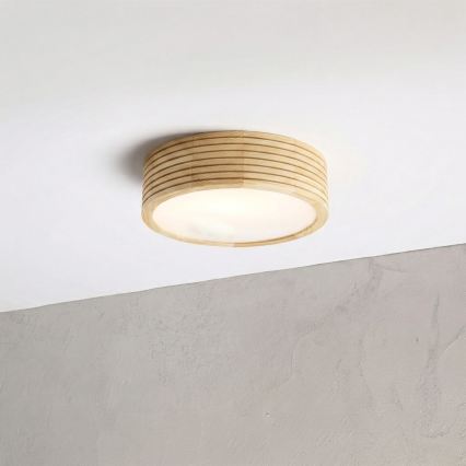 Plafonieră pentru baie NATURAL MODERN 2xE27/15W/230V IP54 Ø 27,5 cm pin