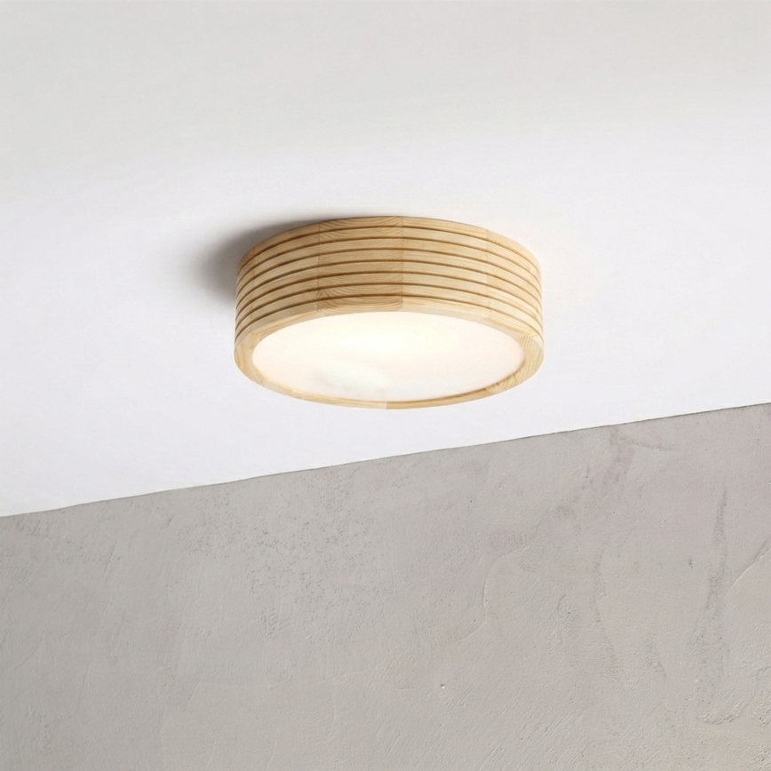 Plafonieră pentru baie NATURAL MODERN 2xE27/15W/230V IP54 Ø 27,5 cm pin