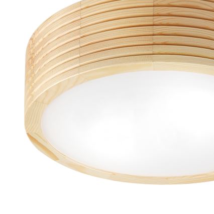 Plafonieră pentru baie NATURAL MODERN 2xE27/15W/230V IP54 Ø 27,5 cm pin