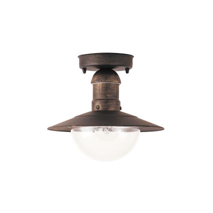 Plafonieră pentru exterior MOLDE 1xE27/60W IP44 bronz/patină - Brilagi