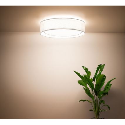 Plafonieră PURO, Ø 50 cm, 2 x E27, 40 W, 230 V, albă