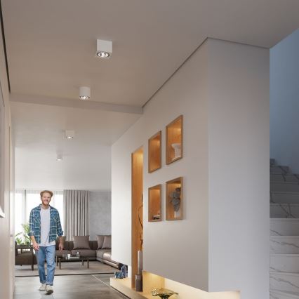 Plafonieră SEIDA 1xGU10/40W/230V