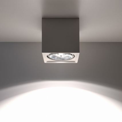 Plafonieră SEIDA 1xGU10/40W/230V