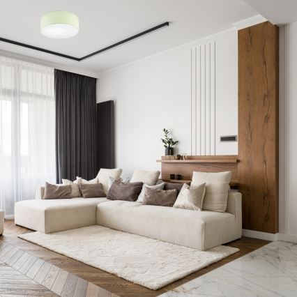 Plafonieră SIRJA PASTEL 1xE27/60W/230V d. 35 cm verde