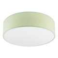 Plafonieră SIRJA PASTEL 2xE27/15W/230V Ø 45 cm verde