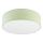 Plafonieră SIRJA PASTEL 2xE27/15W/230V Ø 45 cm verde