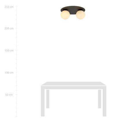 Plafonieră SOLAR 2xE14/10W/230V negru/alb
